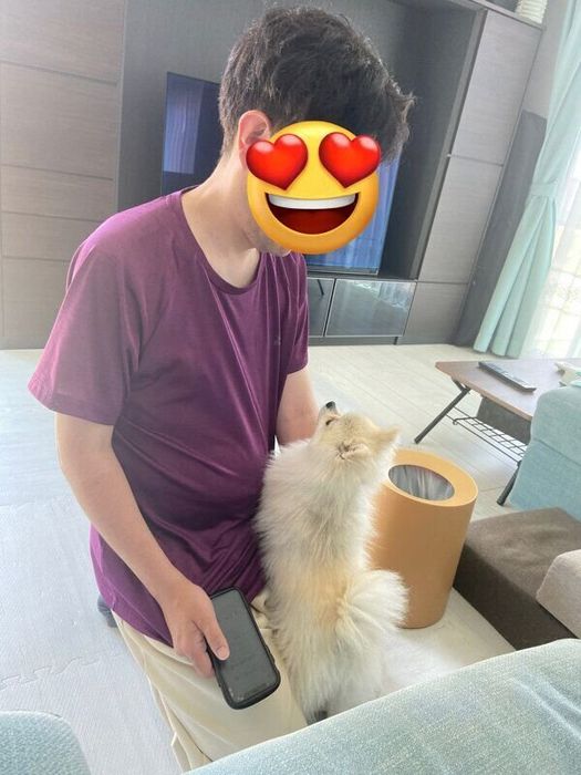 パパさんを見つめるゴン太くん