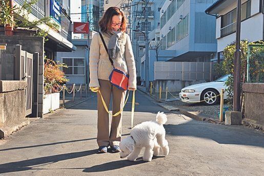 道の真ん中で排泄したがる……