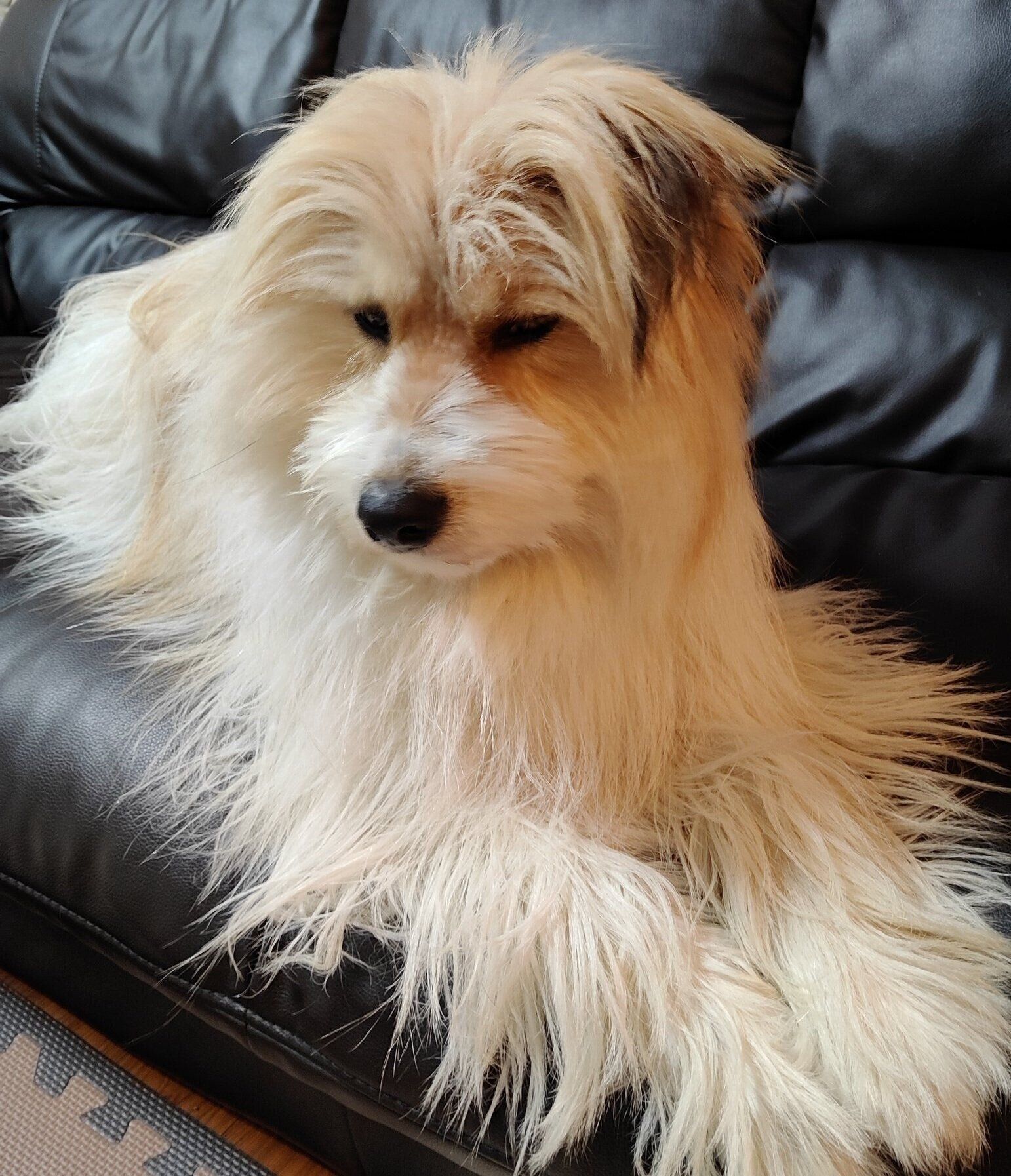 現在のアルナちゃん