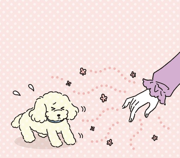 イラスト/Rica