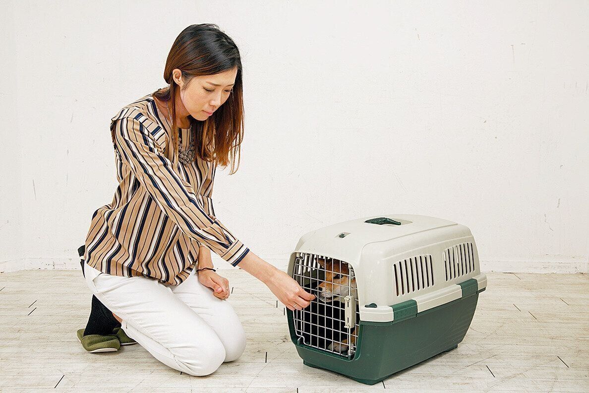 タイミングを見て扉を閉めます