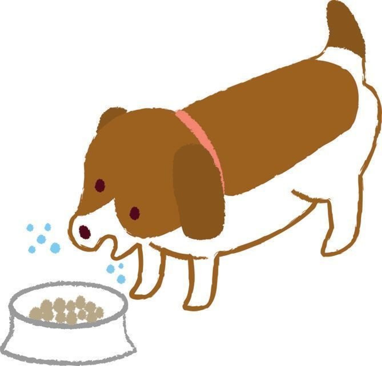 犬の ぽっちゃり は寿命を縮める 肥満予備軍をチェック いぬのきもちweb Magazine 犬の ぽっちゃり は寿命を縮める 肥満予備軍をチェック いぬのきもちweb Magazine