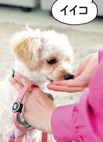 撮影／尾﨑たまき