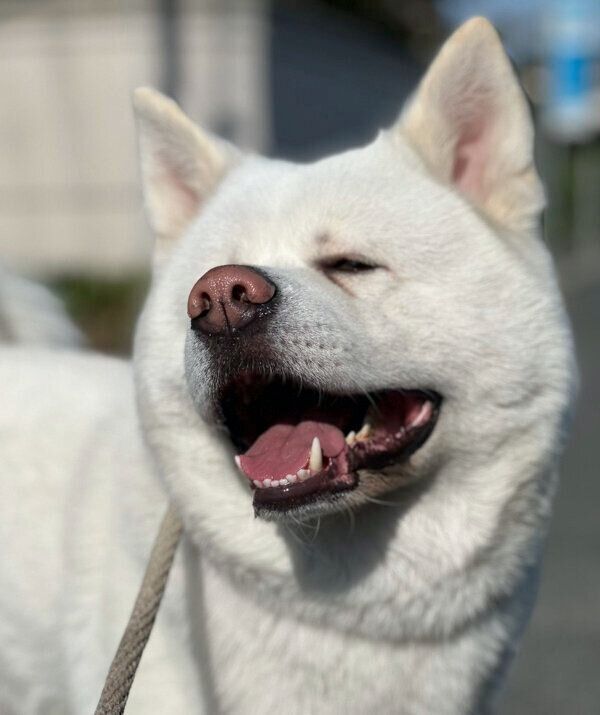 笑顔が可愛い心くん