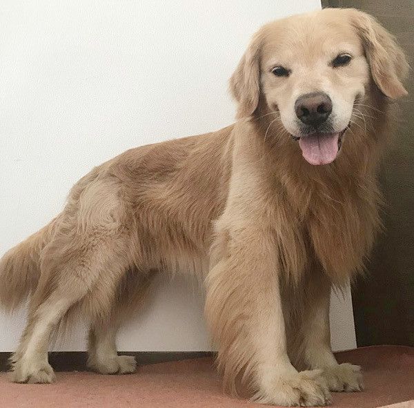 見つめる華丸くん