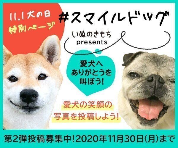 #スマイルドッグ 愛犬へありがとうを叫ぼう!