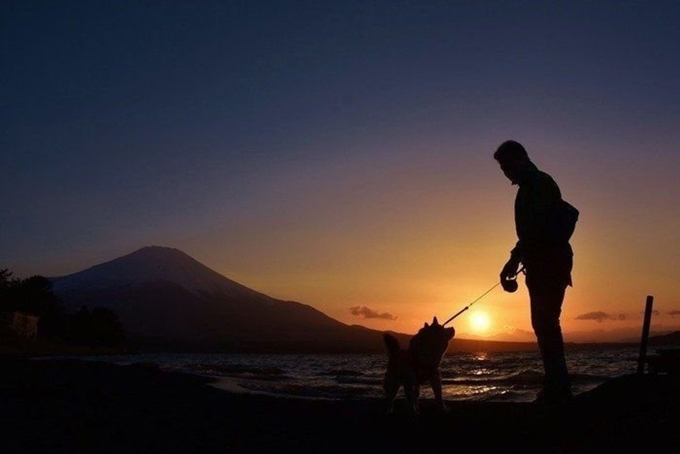 存在自体が宝物なところ いぬのここが好き 連載 柴犬かぼす いぬのきもちweb Magazine 存在自体が宝物なところ いぬのここが好き 連載 柴犬かぼす いぬのきもちweb Magazine