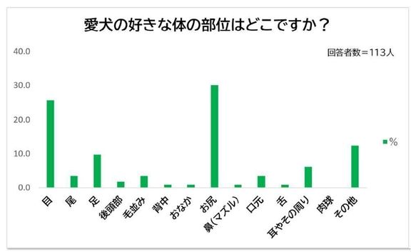Q.ウェルシュ・コーギー・ペンブロークの好きな体の部位は?