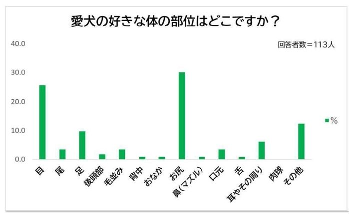 愛犬の好きな体の部位は?