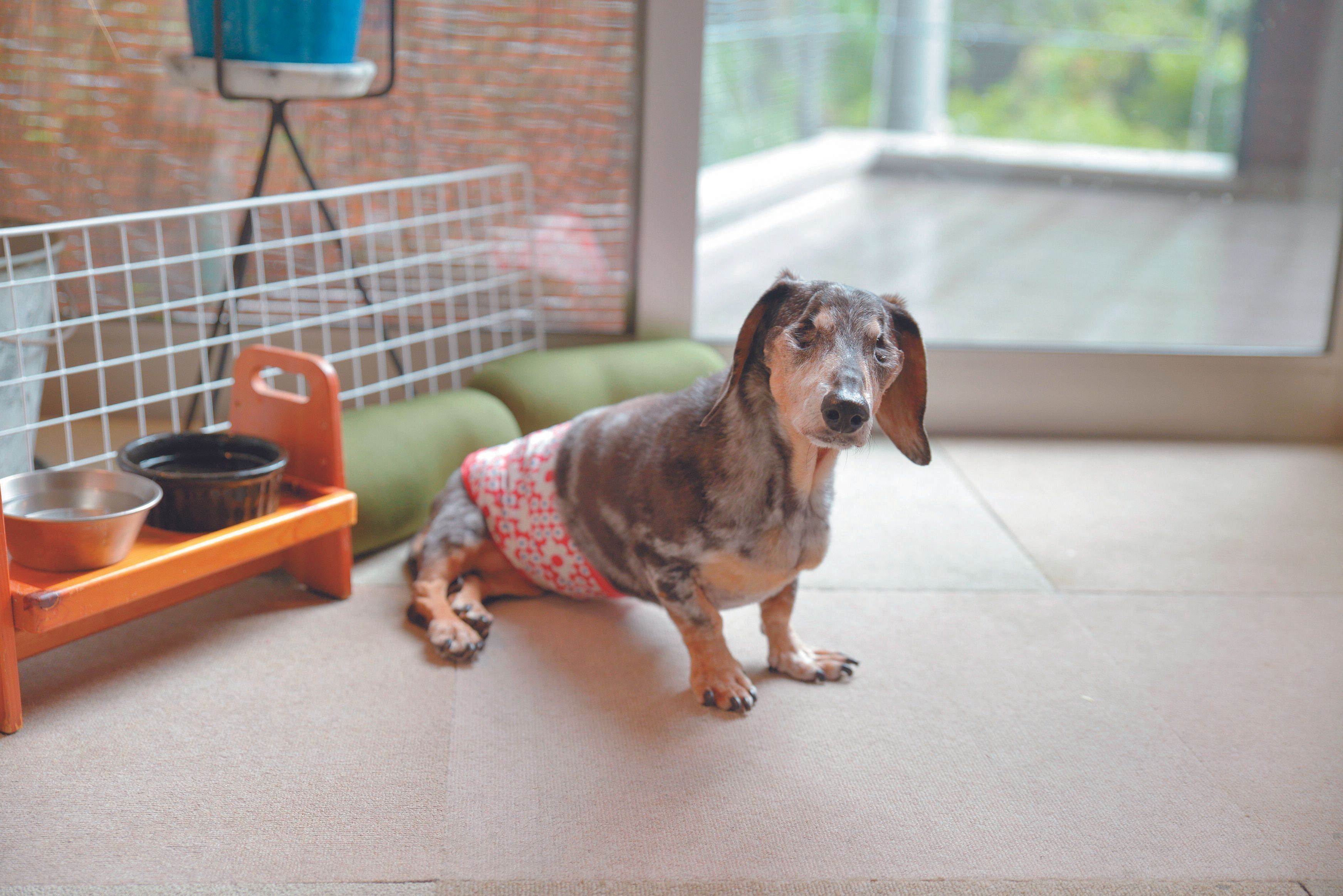 撮影／犬丸美絵