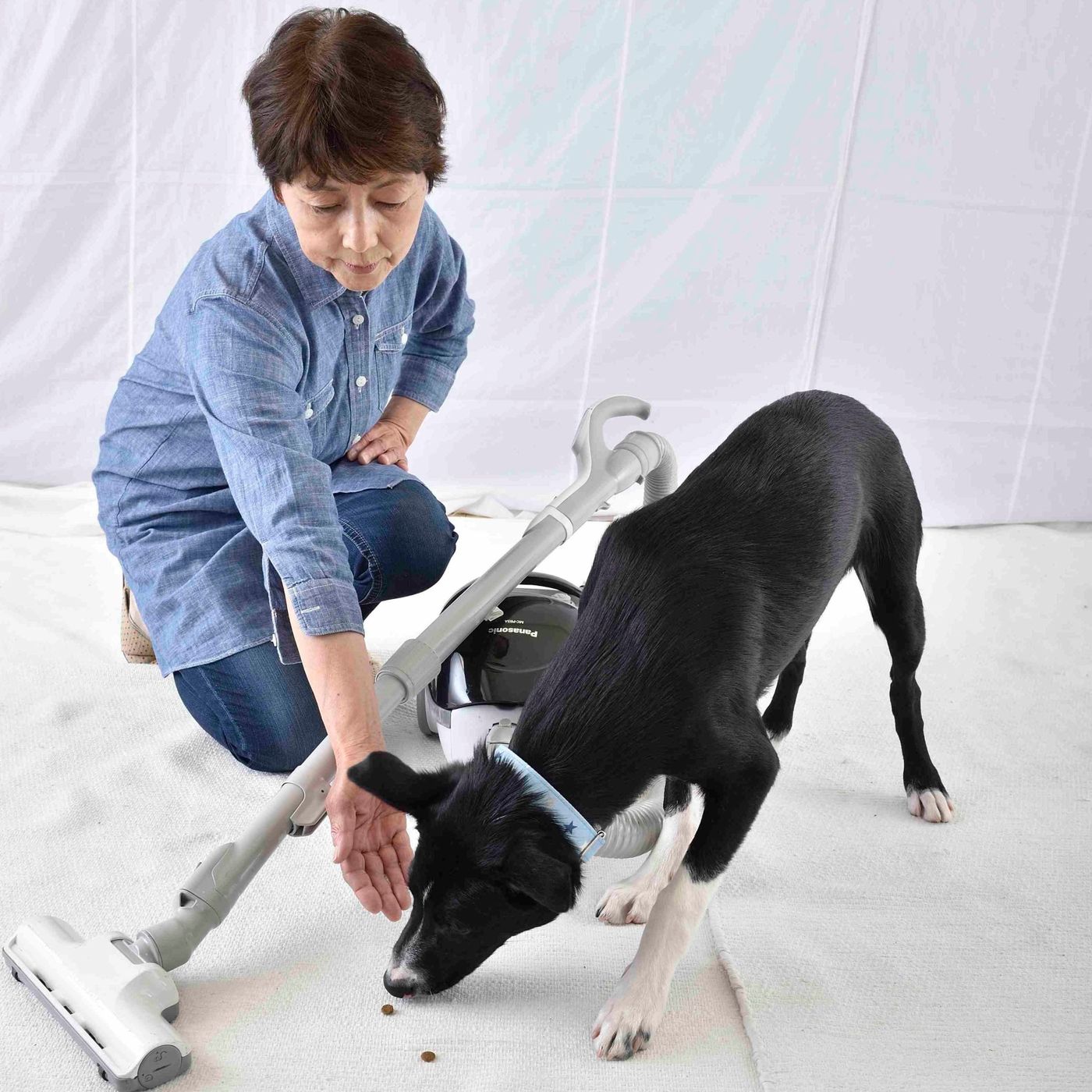 愛犬を吠えさせないために必要な 社会化しつけ って知ってる いぬのきもちweb Magazine 愛犬を吠えさせないために必要な 社会化しつけ って知ってる いぬのきもちweb Magazine