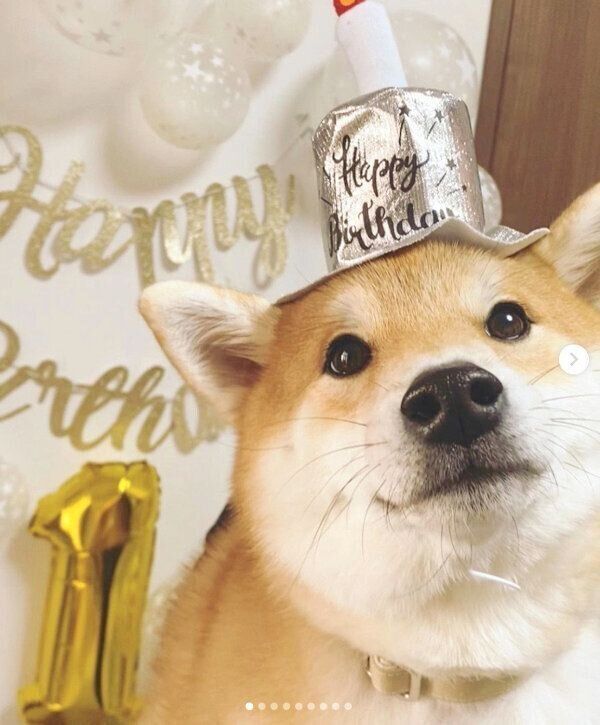 1才になったハクくん