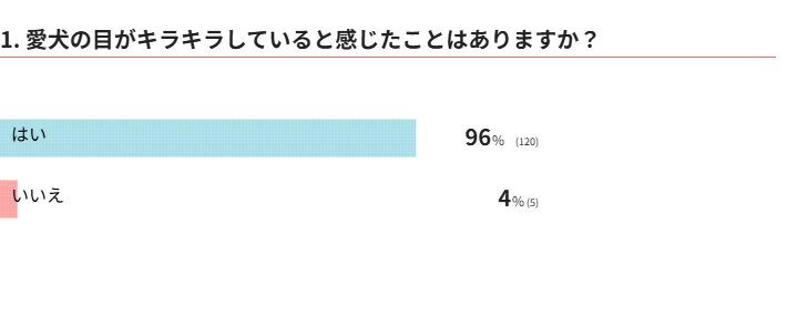 愛犬の目がキラキラしていると感じたことはありますか？