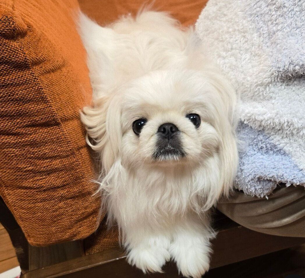 成長したぱんちゃん。