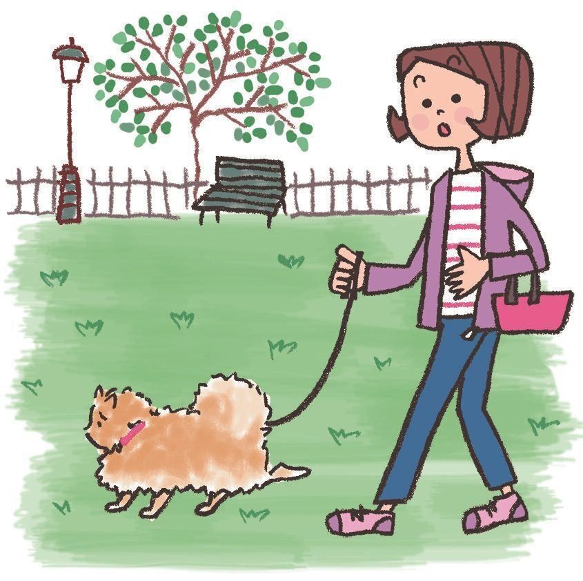 イラスト／オーツノコ