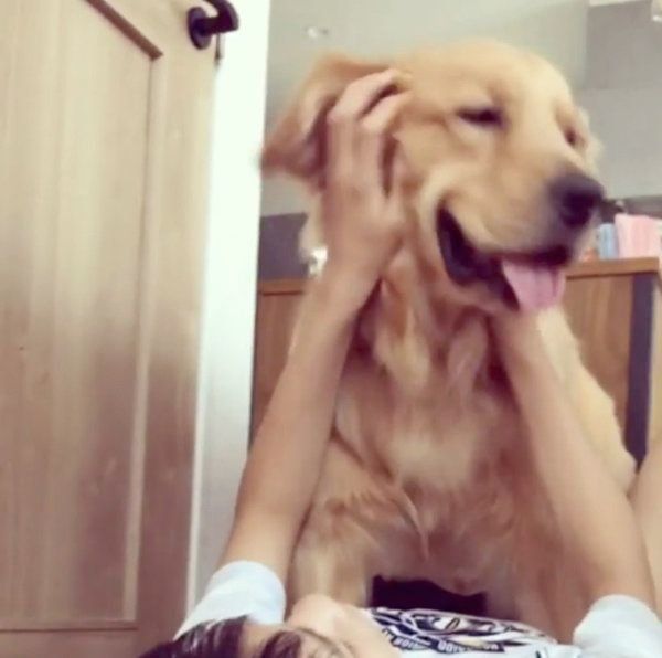 お兄ちゃんとラブラブなゴールデン・レトリーバー