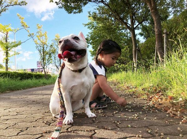 子どもと仲良しなフレンチ・ブルドッグ