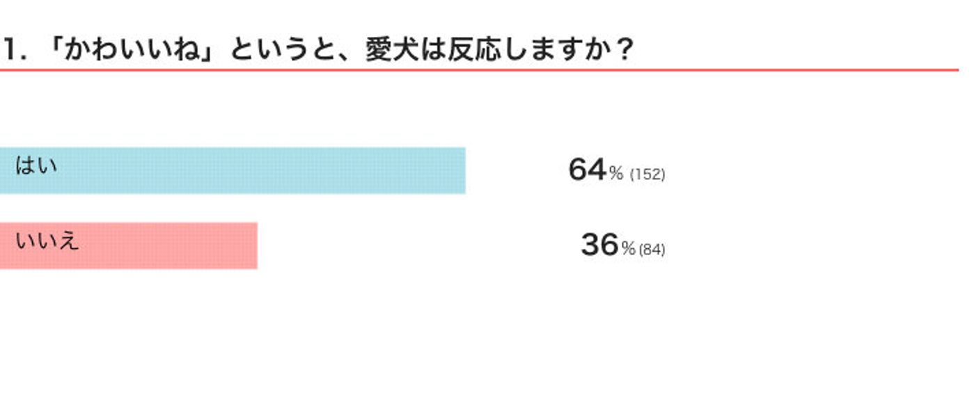 かわいいね の言葉には敏感 反応せずにはいられない犬が見せた行動にほっこり いぬのきもちweb Magazine かわいいね の言葉には敏感 反応せずにはいられない犬が見せた行動にほっこり いぬのきもちweb Magazine