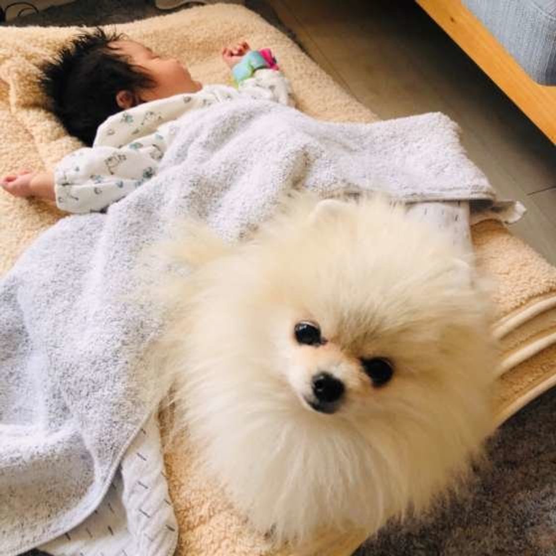 Tivi6wsvpmccim Tivi6wsvpmccim