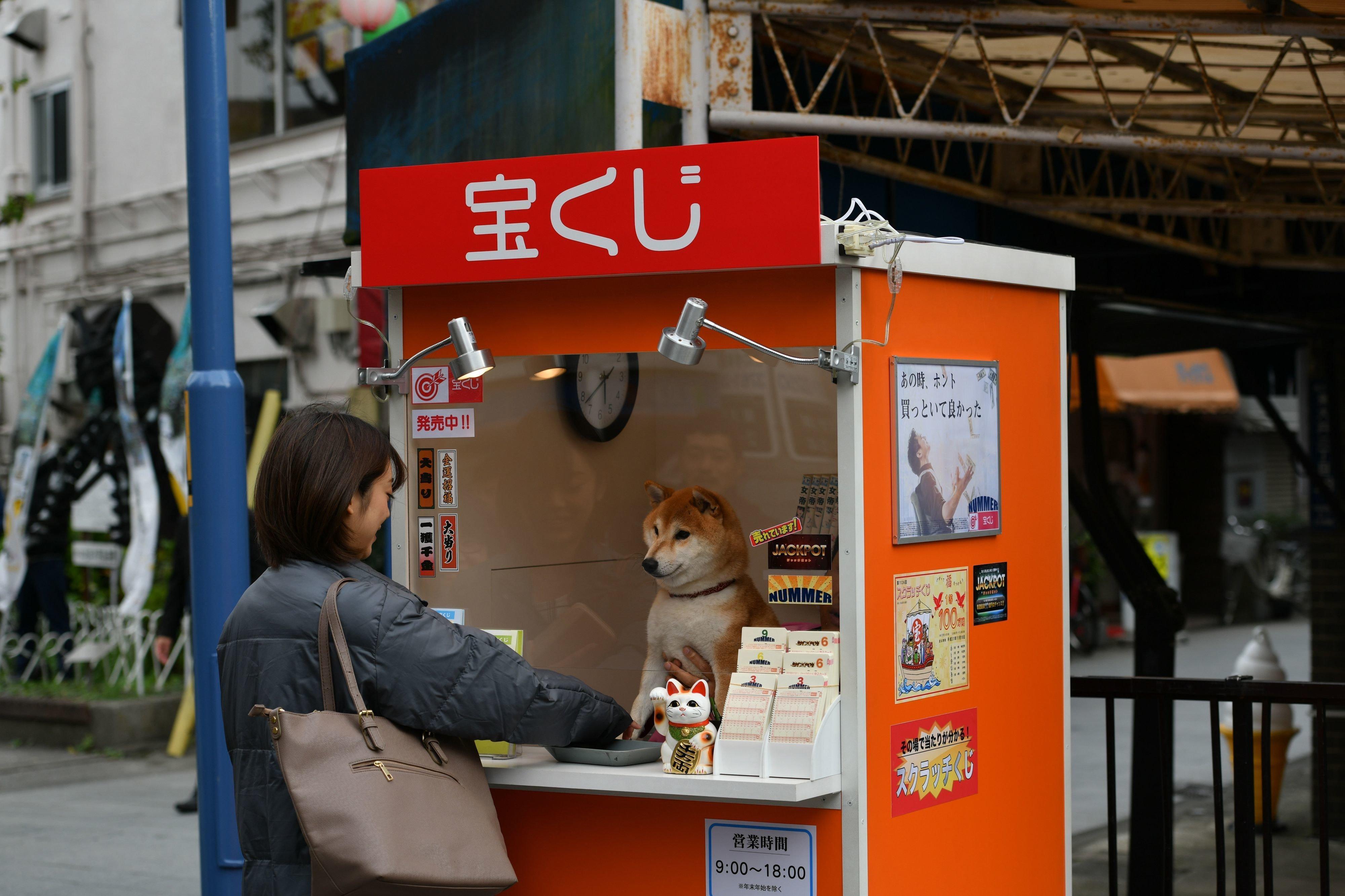 ドラマ「柴公園」