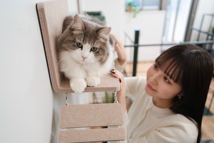 LIXIL 猫壁　にゃんぺき　ねこのきもち　猫専用部屋