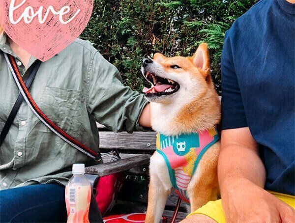 笑顔のタツノコ姫ちゃん