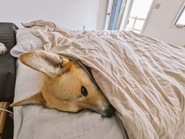 眠る幸子ちゃん