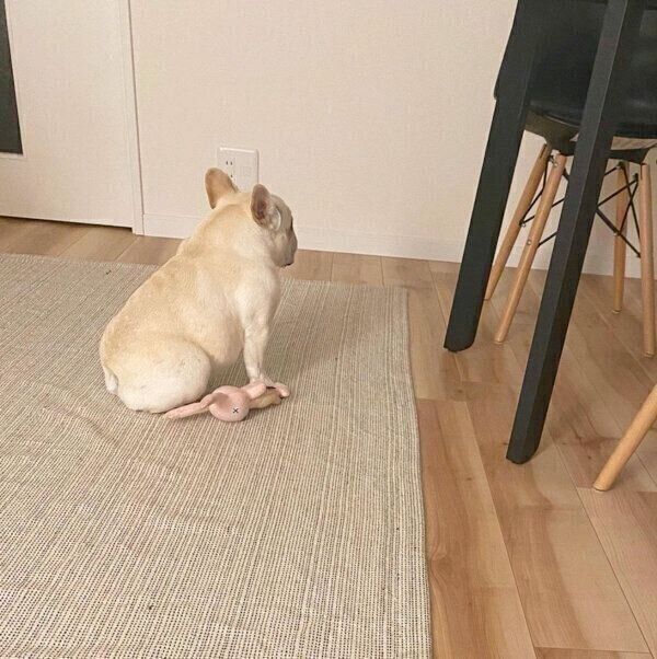 一点を見つめるひまわりちゃん