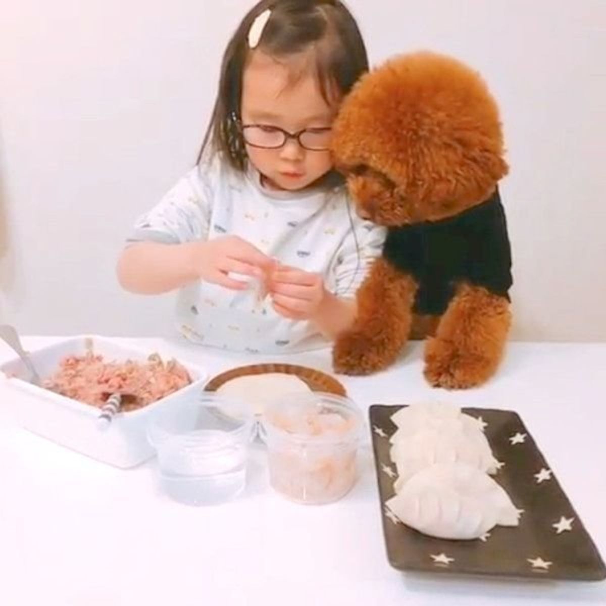 まるで料理番組 餃子を作る女の子を見守るワンコにキュン いぬのきもちweb Magazine まるで料理番組 餃子を作る女の子を見守るワンコにキュン いぬのきもちweb Magazine