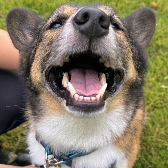 お散歩で休憩中