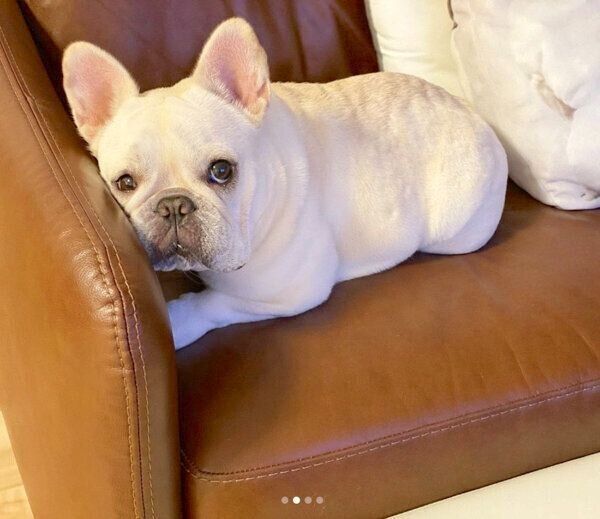 くつろぐひまわりちゃん