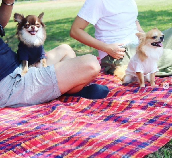 シンプルでナチュラルな犬服：キミノフク。