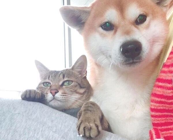 仲良しなHaluくんとMugiくん