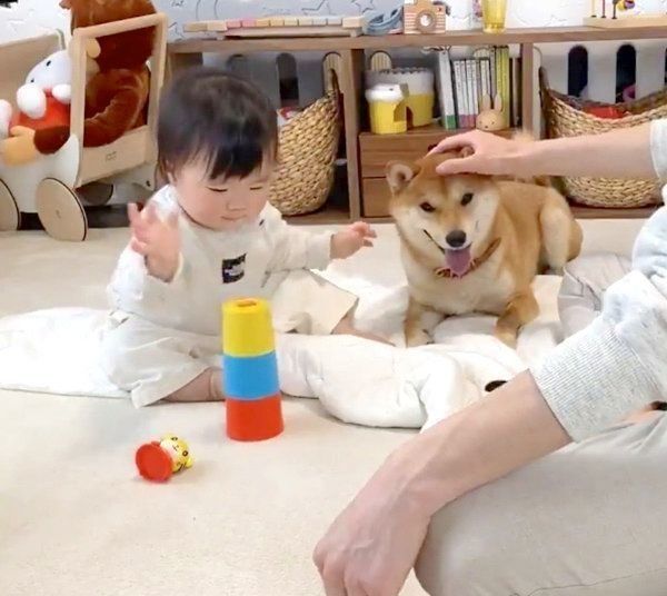 仲良く遊ぶりんご郎くんと妹ちゃん