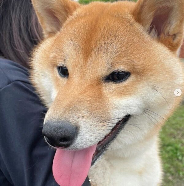 笑顔が可愛いはじめくん