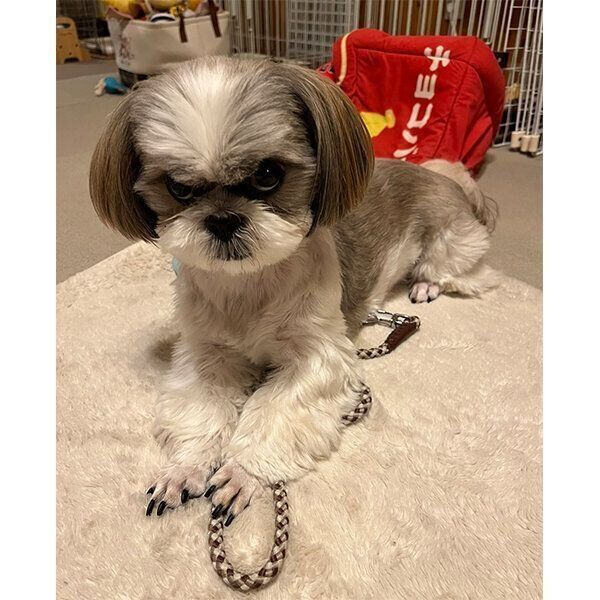 怒ったような表情をするえまちゃん