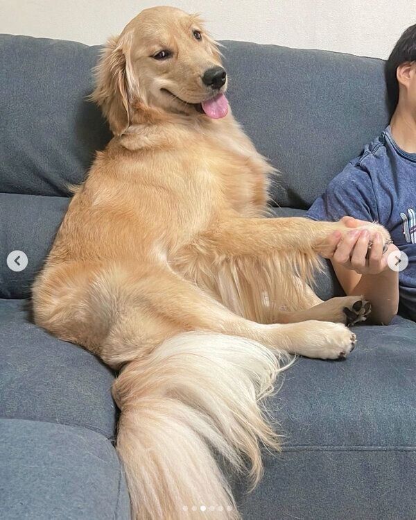 嬉しそうなおからちゃん