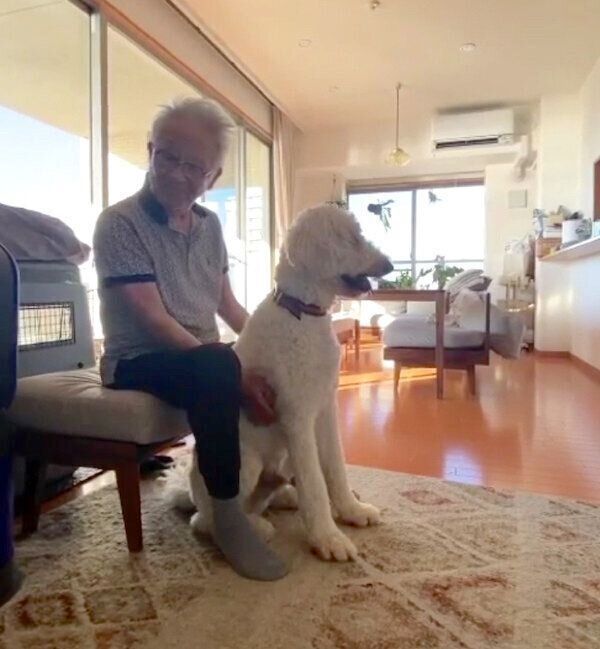 おじいちゃんに甘えるシエルくん