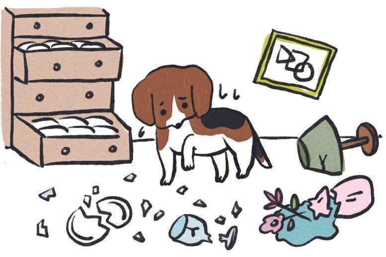 イラスト／SORRY.