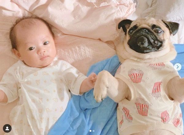 添い寝するパグと妹ちゃん