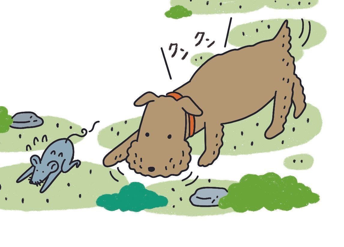 イラスト／ナカオテッペイ