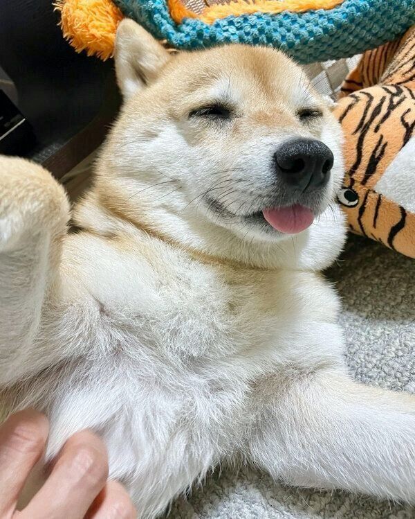 くつろぐこじろうくん