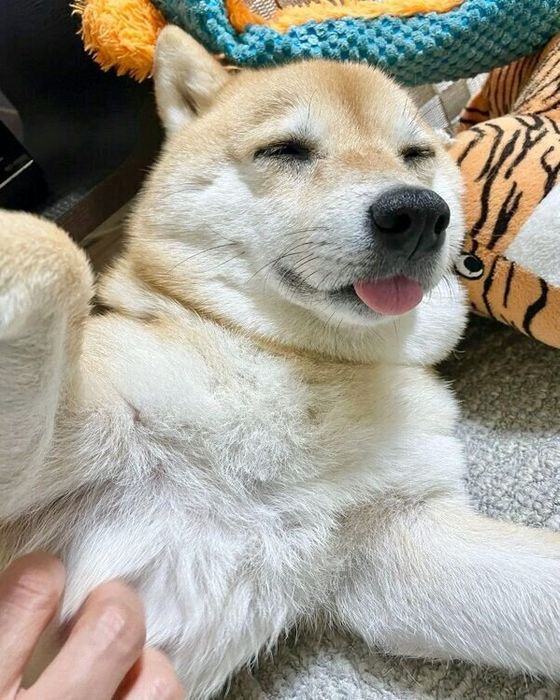 くつろぐこじろうくん