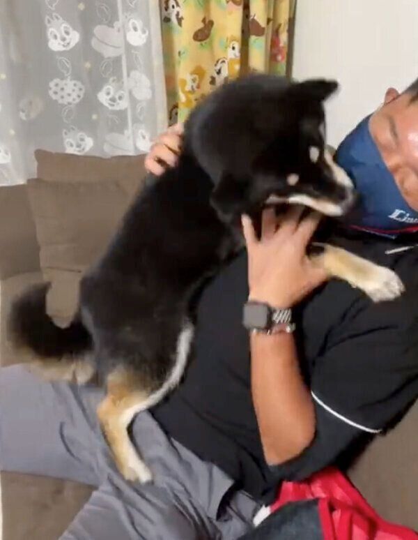 飼い主さんとじゃれ合うチョコちゃん