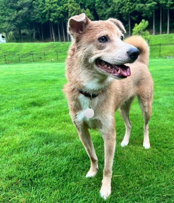 楽しそうなあさぎちゃん