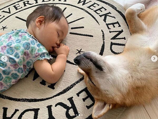 仲良く眠る花子ちゃんとモモ子ちゃん