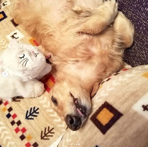 くつろぐ伶音ちゃん