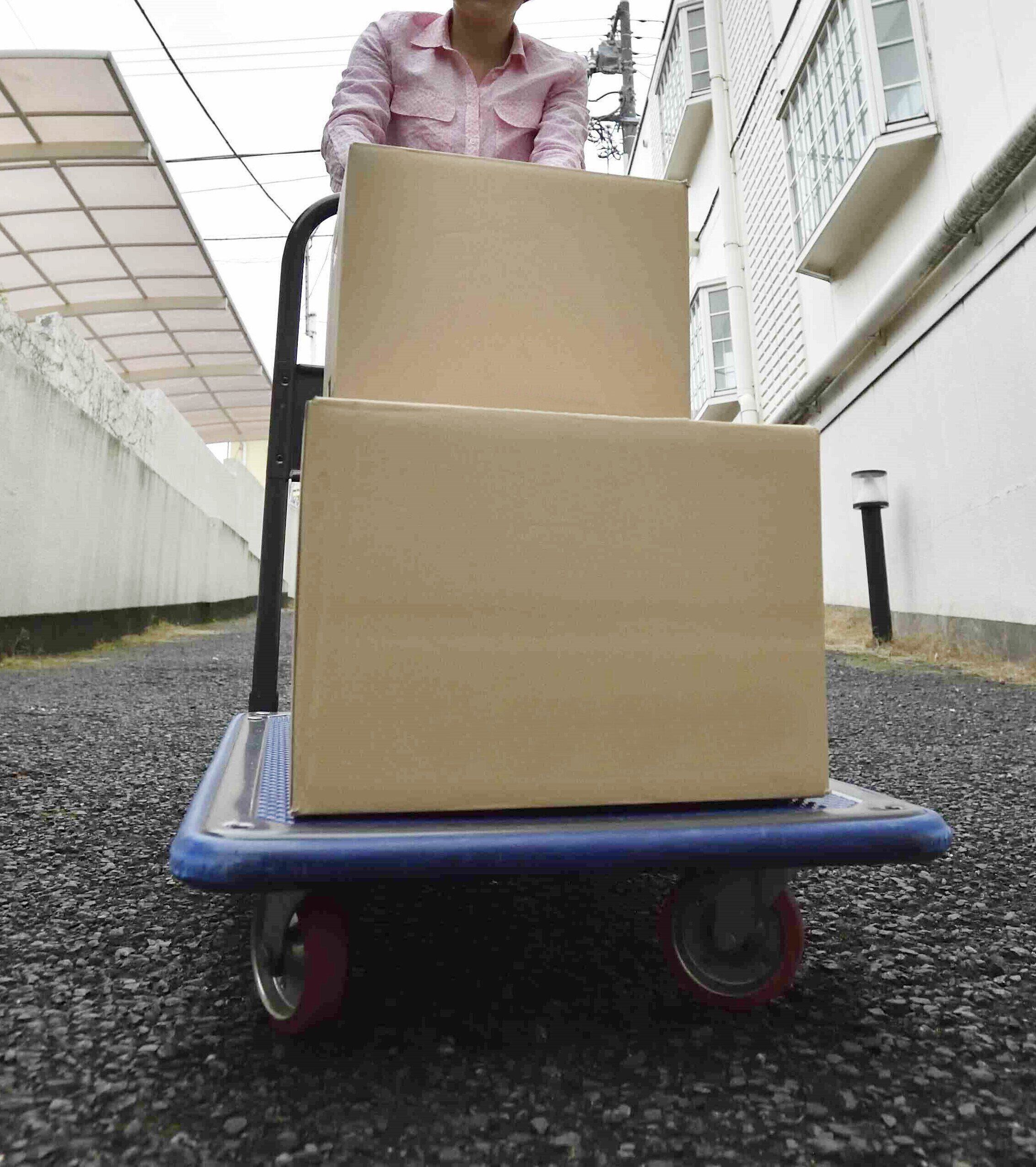 撮影／佐藤正之