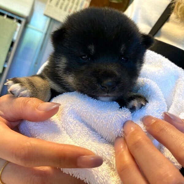 出会ったときの和凪ちゃん