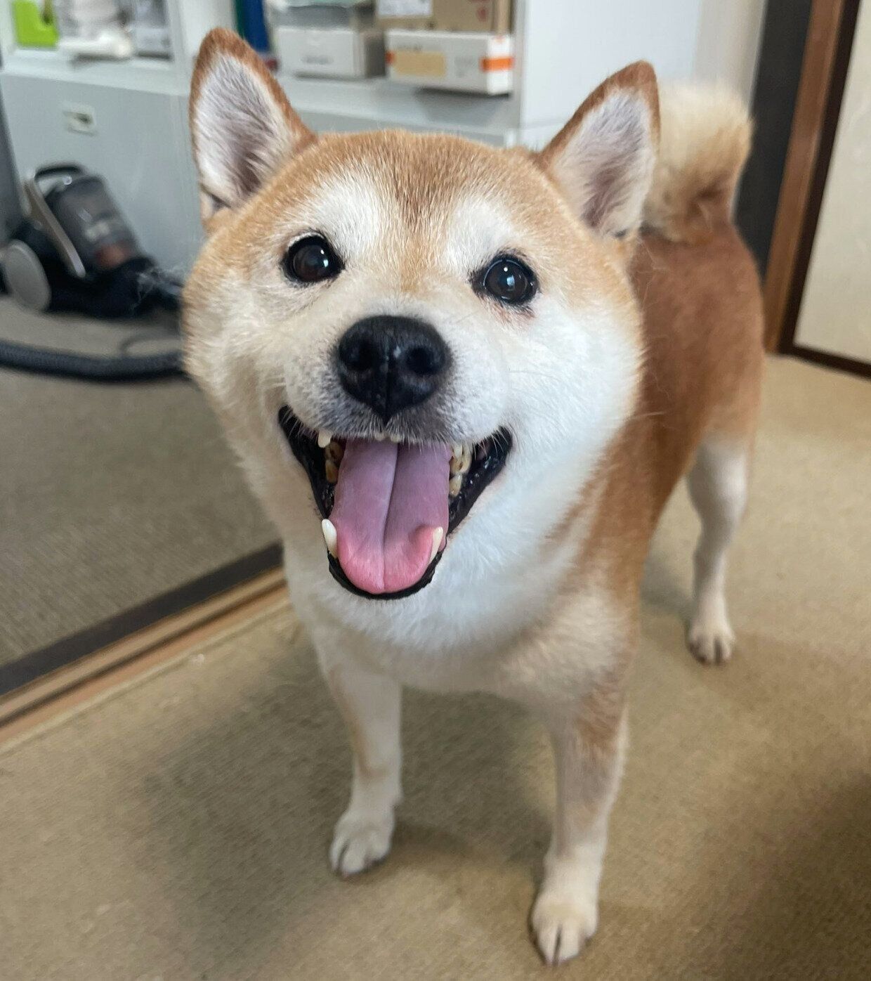 ニコニコ顔のたまじろうくん